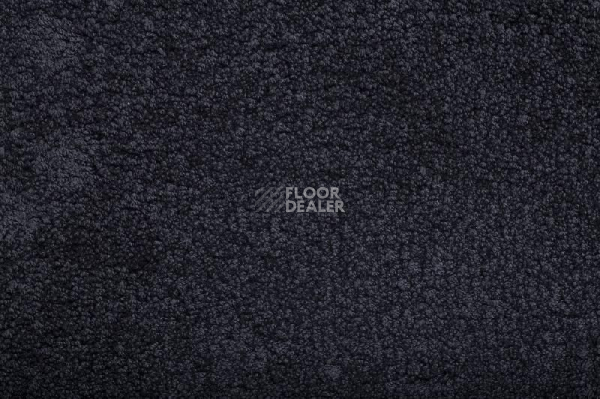 Ковролин Condor Amazing 78 фото 1 | FLOORDEALER